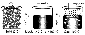 Water-A-Precious-Resource-Class-7-Extra-Questions-Science-Chapter-16-1