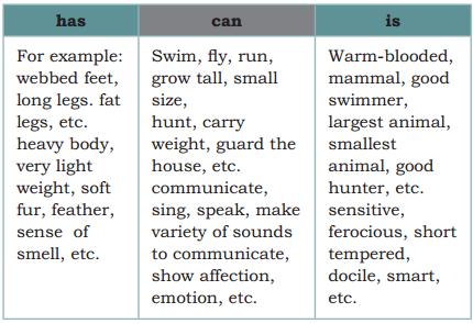 Words and Expressions Class 10 Solutions Unit 8 Mijbil the Otter 2