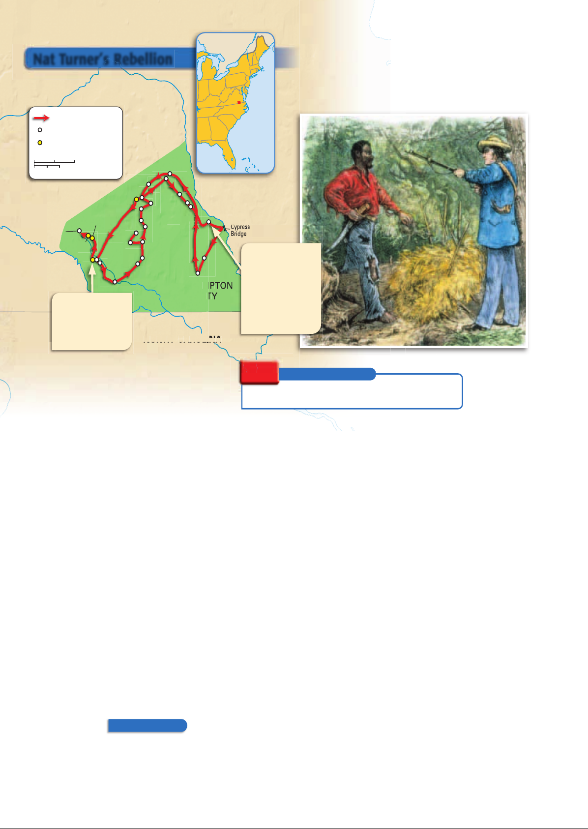 US_History_Textbook_8th_Grade_Chapter_12_The_South Image-16