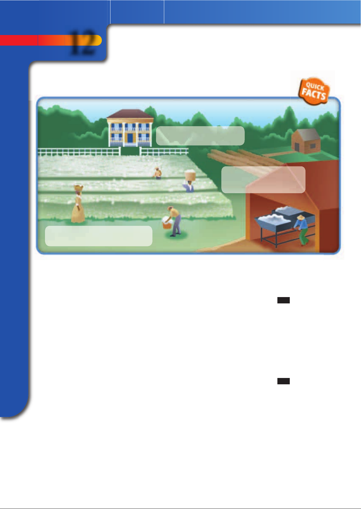 US_History_Textbook_8th_Grade_Chapter_12_The_South Image-19