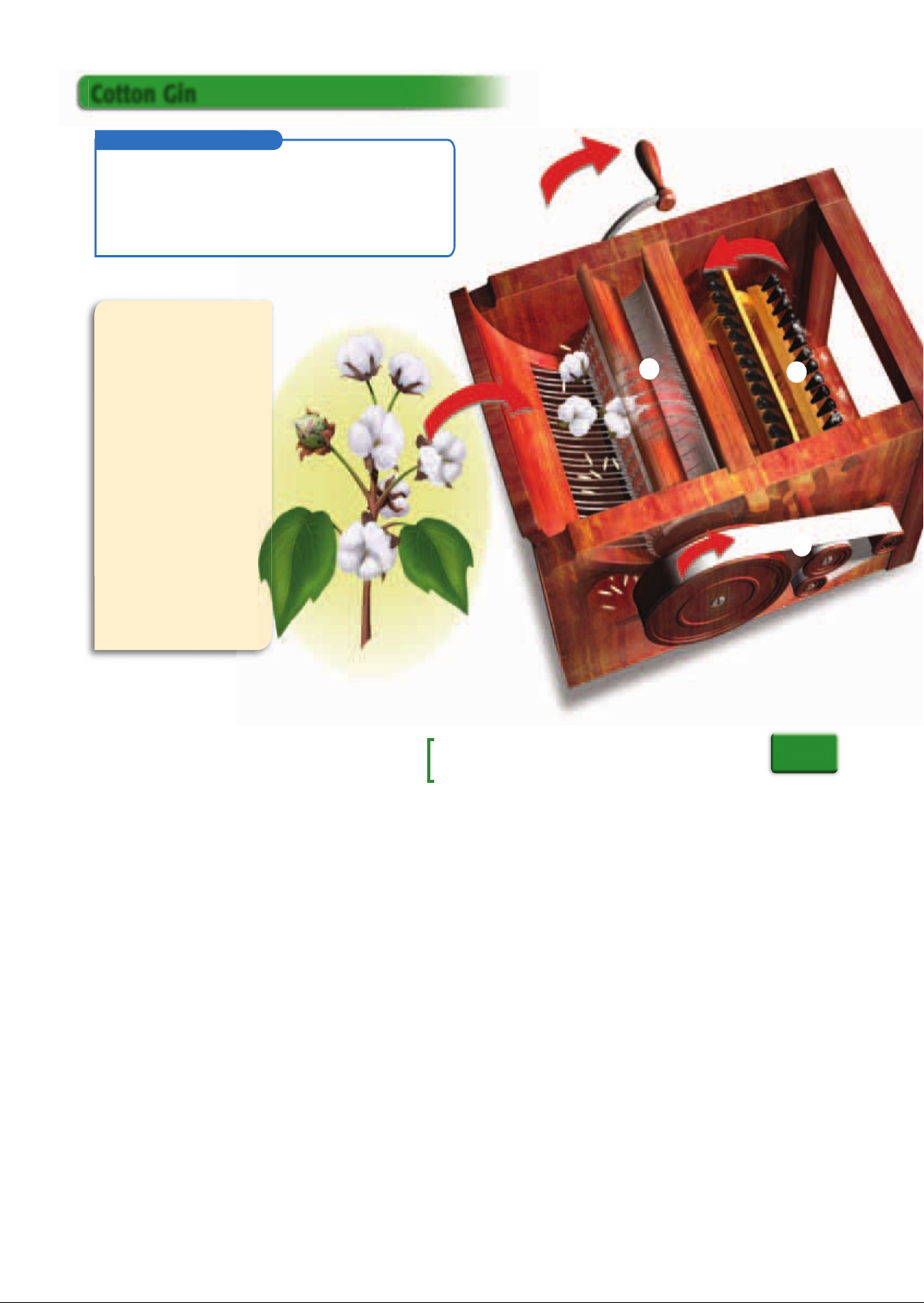 US_History_Textbook_8th_Grade_Chapter_12_The_South Image-3