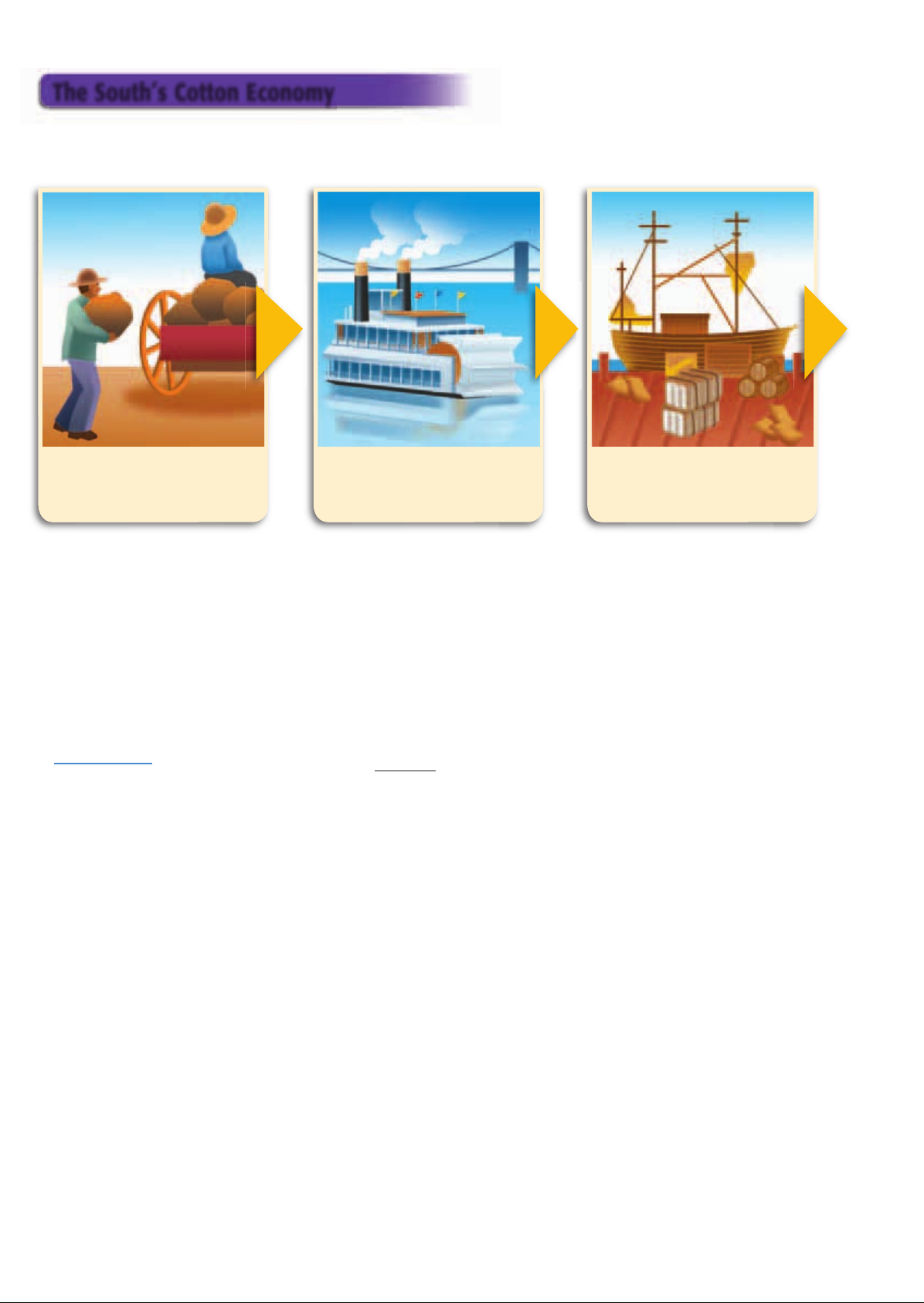 US_History_Textbook_8th_Grade_Chapter_12_The_South Image-6