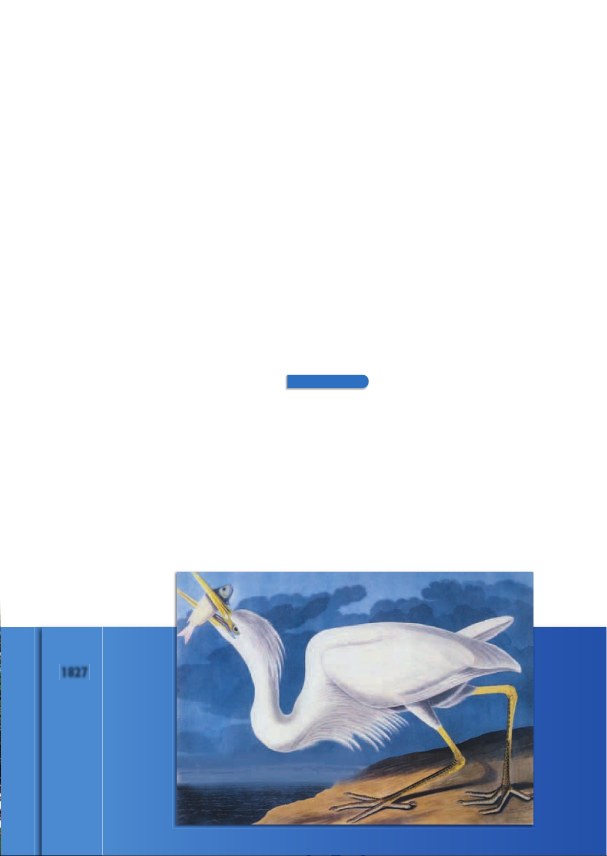 US_History_Textbook_8th_Grade_Chapter_8_A_New_National_Identity Image-13